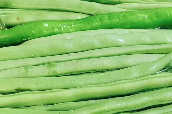 六月蔬菜种植宝典：黄瓜、辣椒、豇豆的高产秘籍插图7