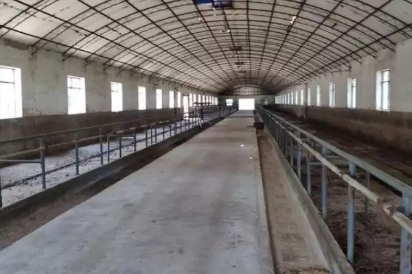 建造简易牛棚的方法 ,怎样建造简易的牛棚呢插图2 建造简易牛棚的方法 ,怎样建造简易的牛棚呢插图2