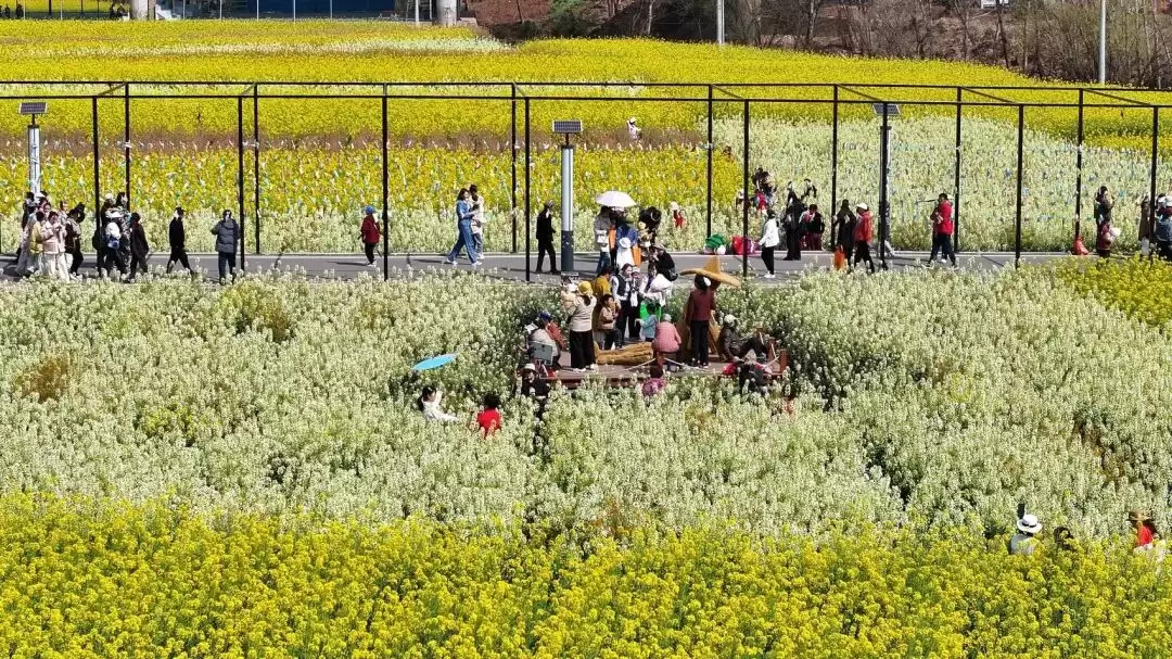 “陌上姜州·花漾田园” 会东县春耕文化系列活动启幕插图1 “陌上姜州·花漾田园” 会东县春耕文化系列活动启幕插图1