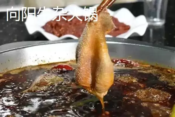 四川省自贡市的特产?了解四川省自贡市特产要掌握哪些具有代表性的物产?插图14 四川省自贡市的特产?了解四川省自贡市特产要掌握哪些具有代表性的物产?插图14