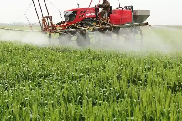 清明前后小麦用药指南:扫螨净乳油防治红蜘蛛的要点插图1 清明前后小麦用药指南:扫螨净乳油防治红蜘蛛的要点插图1