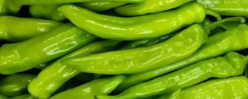 尖椒的施肥周期 ,尖椒每隔多久施一次肥合适插图 尖椒的施肥周期 ,尖椒每隔多久施一次肥合适插图