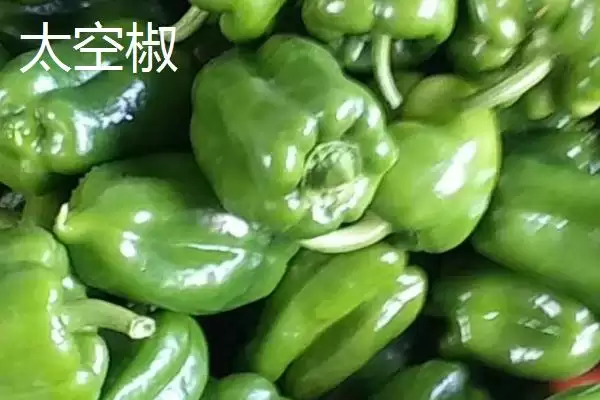 太空椒属于什么育种？了解太空椒育种方式要知晓哪些关键的育种原理和方法？插图3
