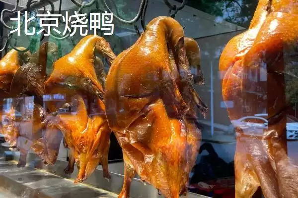 图片[3]-什么品种的鸭子可以做烧鸭？挑选适合做烧鸭的鸭子品种要注意什么？-会东网