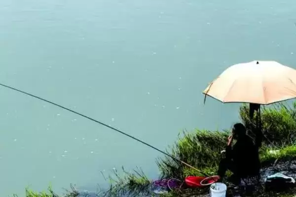 图片[9]-野钓适合用前打竿还是手竿？鱼竿选择与养鱼关键细节？-会东网