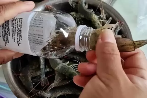 鲜虾保存的方法和要点？保存鲜虾需掌握哪些关键技巧？插图1