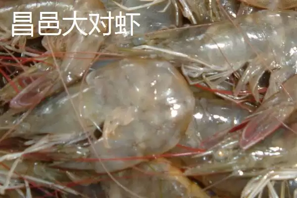 山东潍坊的特产？认识山东潍坊特产要了解哪些具有代表性的物产？插图3