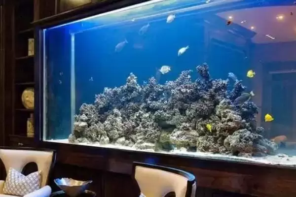 图片[2]-新手如何选合适鱼缸？鱼缸挑选技巧与养鱼重点方法？-会东网