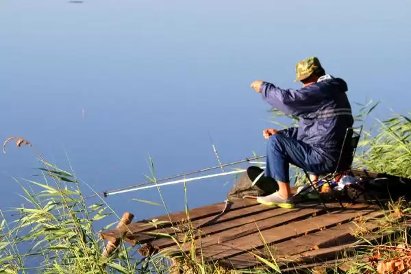 图片[3]-夏天钓鲤鱼要钓浅还是钓深？夏季钓鲤深度选择与养鱼要点分析？-会东网