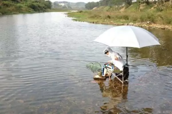 图片[3]-如何在浅水中钓鱼？浅水钓鱼方法与养鱼重点细节？-会东网