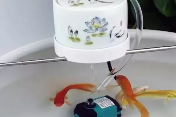 图片[3]-如何确定鱼缸防虹吸孔位置？鱼缸防虹吸孔知识与养鱼重点细节？-会东网