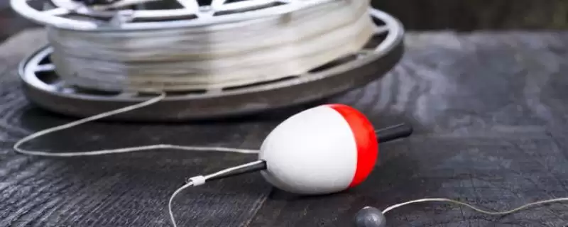 碳线和尼龙线哪个强度高?线强度对比知识与养鱼要点?插图 碳线和尼龙线哪个强度高?线强度对比知识与养鱼要点?插图