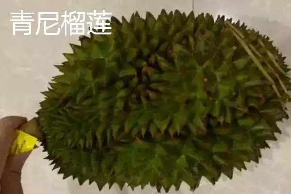 图片[4]-榴莲的防氧化保存方法 ,榴莲放冰箱冷冻有何好处呢？-会东网