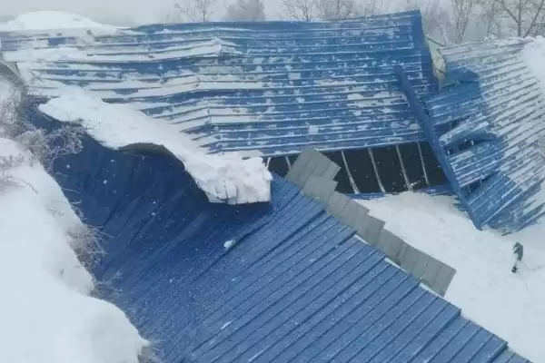 图片[2]-养殖遇到雪灾咋处理？雪灾应对与养鱼方法关键细节？-会东网