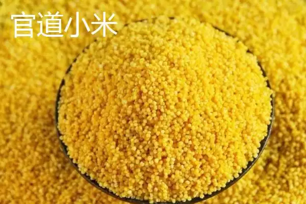 图片[3]-山东莱西的特产有哪些？特产知识与养鱼方法要点？-会东网