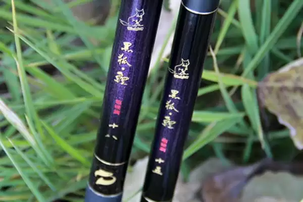 战斗竿品牌推荐有哪些?战斗竿品牌知识与养鱼方法要点?插图8 战斗竿品牌推荐有哪些?战斗竿品牌知识与养鱼方法要点?插图8