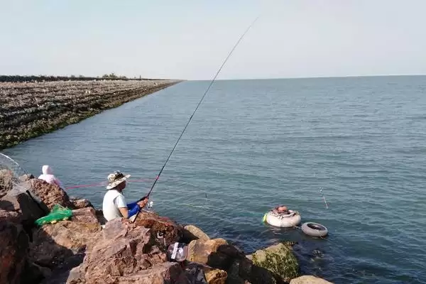 图片[3]-什么是浮游矶钓？浮游矶钓知识科普与养鱼重点细节？-会东网