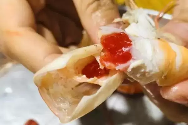 小龙虾清洗的方法和要点?清洗小龙虾需掌握哪些关键技巧?插图4 小龙虾清洗的方法和要点?清洗小龙虾需掌握哪些关键技巧?插图4
