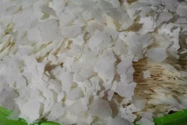 图片[2]-雪花粉在钓鱼中有啥作用？饵料知识与养鱼方法要点？-会东网