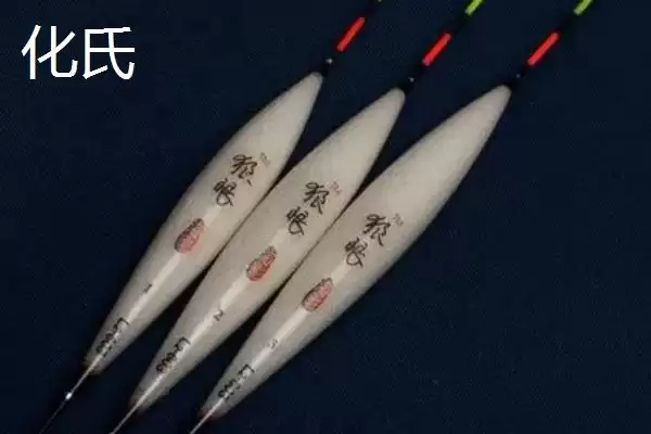 图片[8]-什么是冷光尾夜光漂？冷光尾夜光漂知识科普与养鱼方法要点？-会东网