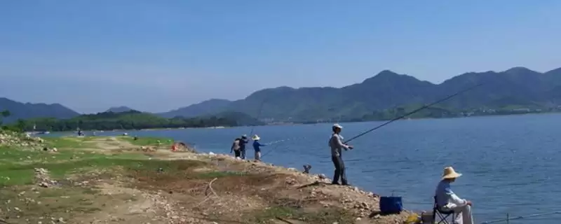 一般钓鱼多久能上钩？钓鱼时间与养鱼重点事项？-会东网