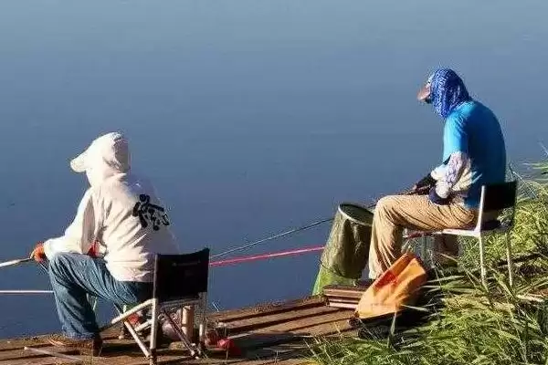 图片[3]-夏天钓鲫鱼技巧有哪些？夏季钓鲫技巧与养鱼重点方法讲解？-会东网