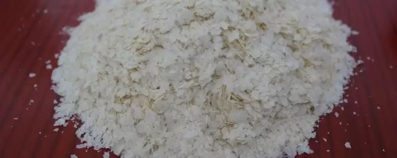 雪花粉在钓鱼中有啥作用?饵料知识与养鱼方法要点?-会东网
