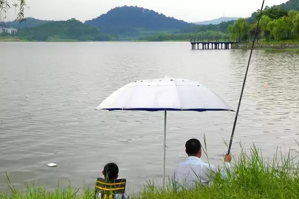 图片[4]-早春雨天适合钓鱼吗？早春雨天钓鱼分析与养鱼要点？-会东网