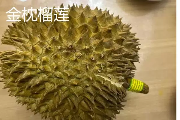 图片[3]-榴莲的防氧化保存方法 ,榴莲放冰箱冷冻有何好处呢？-会东网