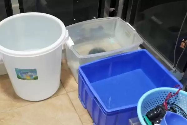 图片[4]-太阳能的水凉了能养鱼吗？太阳能水养鱼可行性与养鱼关键细节？-会东网