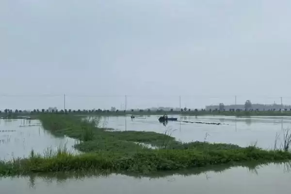 图片[4]-下雨天虾塘能否补钙的要点和判断？判断雨天虾塘补钙需注意什么？-会东网