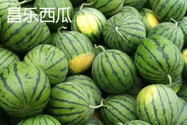 山东潍坊的特产？认识山东潍坊特产要了解哪些具有代表性的物产？插图5