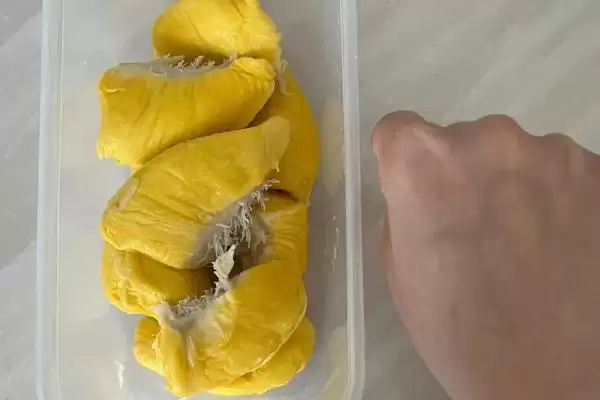 图片[2]-榴莲的防氧化保存方法 ,榴莲放冰箱冷冻有何好处呢？-会东网