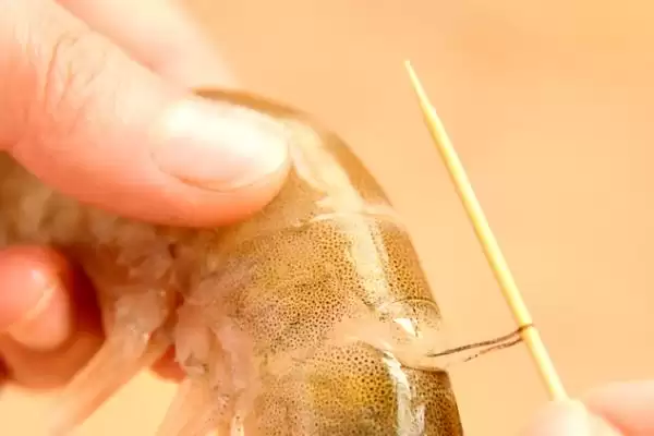 小龙虾清洗的方法和要点?清洗小龙虾需掌握哪些关键技巧?插图3 小龙虾清洗的方法和要点?清洗小龙虾需掌握哪些关键技巧?插图3