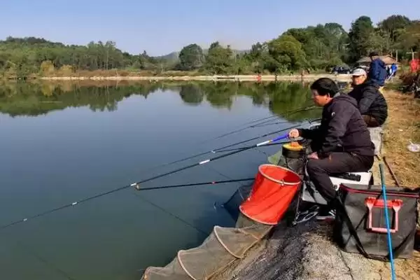 图片[4]-夏天钓鲤鱼要钓浅还是钓深？夏季钓鲤深度选择与养鱼要点分析？-会东网