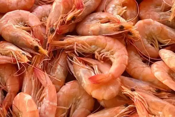 虾干在市场上价格的波动和要点?了解虾干价格需关注哪些市场因素?插图2 虾干在市场上价格的波动和要点?了解虾干价格需关注哪些市场因素?插图2