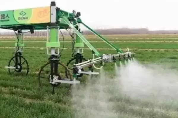 灭扫利农药具有什么样的作用呢 ,灭扫利农药对害虫具有击倒快的作用插图3