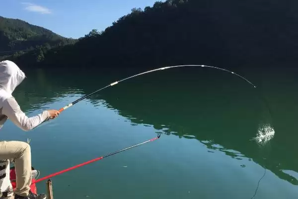 图片[5]-如何在冬季钓获大鲤鱼？冬季钓鲤鱼方法与养鱼要点？-会东网