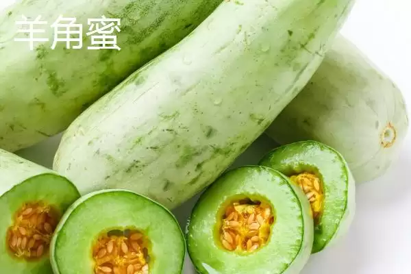 图片[7]-南方甜瓜种植品种优选：香妃、橙露、羊角蜜的种植指南-会东网