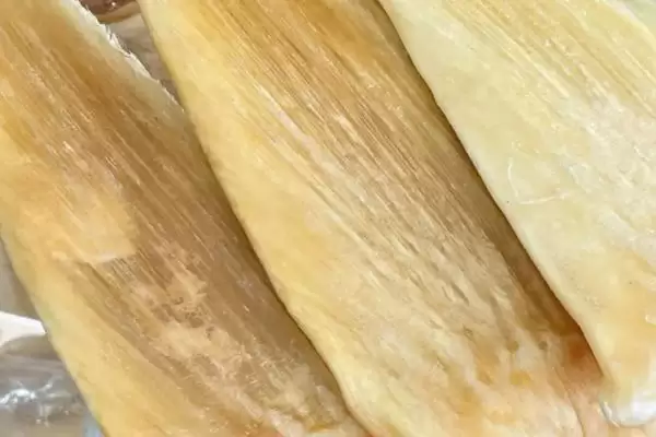 鱼翅怎么正确泡发?鱼翅泡发知识与养鱼重点细节?插图3 鱼翅怎么正确泡发?鱼翅泡发知识与养鱼重点细节?插图3