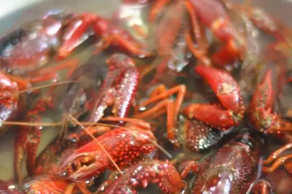 如何去除小龙虾的虾线？处理小龙虾去除虾线要运用哪些操作方法？插图2