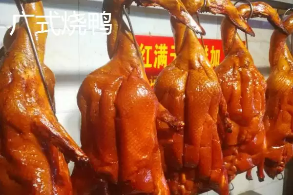 图片[2]-什么品种的鸭子可以做烧鸭？挑选适合做烧鸭的鸭子品种要注意什么？-会东网