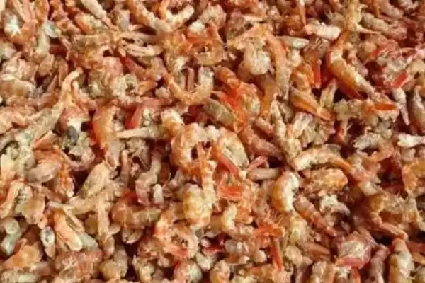 鲜虾保存的方法和要点？保存鲜虾需掌握哪些关键技巧？插图5