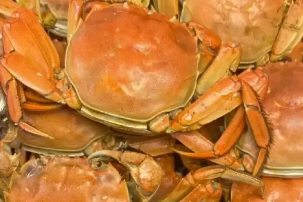 山螃蟹有没有寄生虫?判断山螃蟹有无寄生虫要了解哪些生物特性?插图2 山螃蟹有没有寄生虫?判断山螃蟹有无寄生虫要了解哪些生物特性?插图2