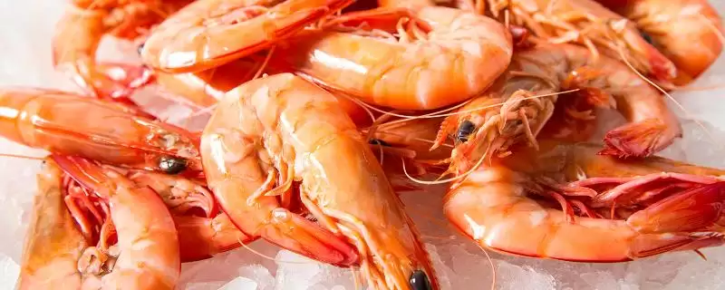 熟虾冷冻十天还能吃吗？判断冷冻十天熟虾能否食用要考虑哪些安全要点？-会东网