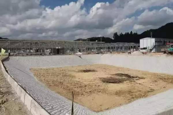 爬沙虫生长习性探秘:白天藏在阴暗处的生存之道插图3 爬沙虫生长习性探秘:白天藏在阴暗处的生存之道插图3