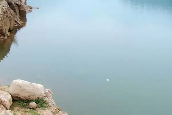 图片[2]-如何在冬季钓获大鲤鱼？冬季钓鲤鱼方法与养鱼要点？-会东网