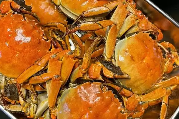 山螃蟹有没有寄生虫?判断山螃蟹有无寄生虫要了解哪些生物特性?插图3 山螃蟹有没有寄生虫?判断山螃蟹有无寄生虫要了解哪些生物特性?插图3