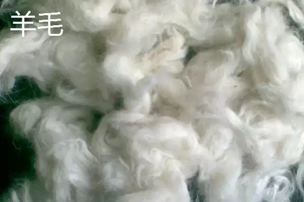 图片[5]-认识羊绒种类的方法和重点？认识羊绒种类要做好哪些细节？-会东网