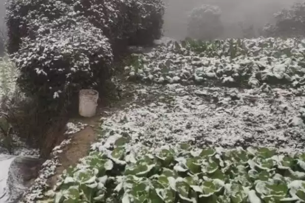图片[3]-养殖遇到雪灾咋处理？雪灾应对与养鱼方法关键细节？-会东网